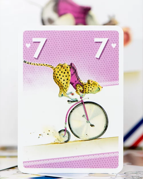 Test du jeu VELONIMO vue cartes 3